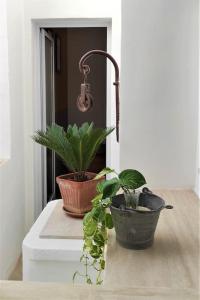 Casa Vacanza Salento