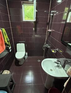 Woodstocks Guesthouse Shekvetili