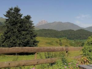 Appartements Appartement Pyrenees proche la Mongie Sainte-marie de campan : Appartement 2 Chambres