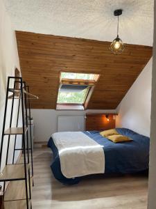 Appartements Maison L'Aiguille - Deux gites et chambres d'hotes au pied de la montagne a la station de Laye : photos des chambres