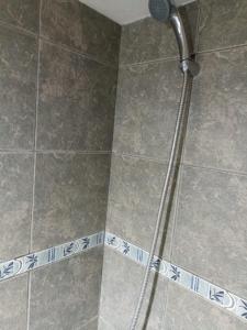 Complejo las Palmeras II