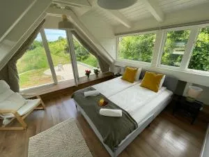 Dandelion Szőlőliget Vendégház - 格拉克斯兹