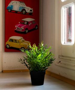 Apartamento calle estafeta