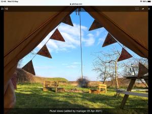 West Holme Glamping