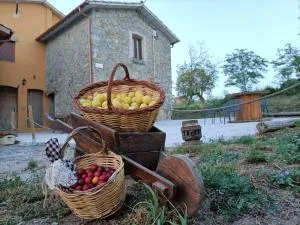 LES ROVILES - L’ Esquirol