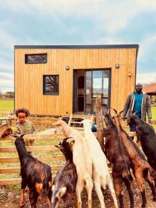 Maisons de vacances Tiny House nature proche Montargis - 1h de Paris ! : Maison 1 Chambre