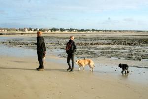 B&B / Chambres d'hotes Decouverte d'un Haras proche du Mont St Michel : photos des chambres