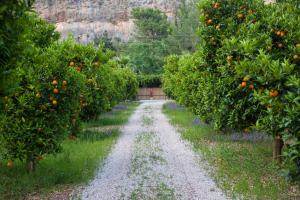 Ekinoks Hotel - Adults Only