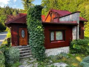 Domek nad potokiem - 德武戈波莱兹德鲁伊