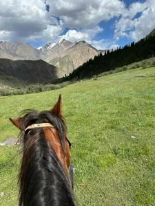 MALINA - Teploklyuchenka