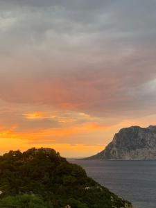 Punta Est - Mono SCIROCCO 300m Dal Mare img37
