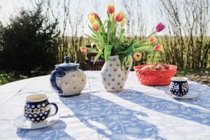 Windmühle Catharina