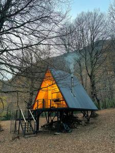Casa del Árbol - Malalcahuello