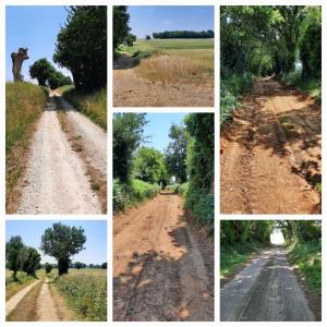 B&B / Chambres d'hotes Les Vents d’Anges : photos des chambres