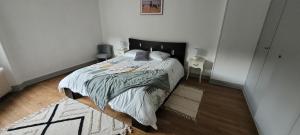 Appartements Appartement spacieux cosy centre Epinal !!! : photos des chambres