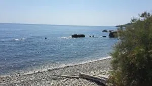 Sylvan Seas - Whitwell