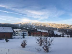 Horský Apartmán Klínovec 4