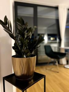 45th floor of sunrises & sunsets