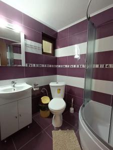 Cabana Inima Munților