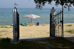 Evans Beach House