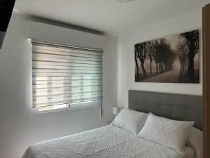 Ensino 22 - San Lorenzo