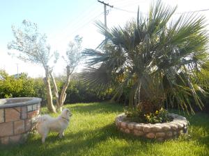 The Garden Guest House