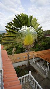 FINCA VILLA MAGALY en medio de la Naturaleza