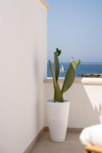 Fronte Mare Casa Daspa