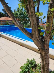 Apartments with swimming pool 9x4m