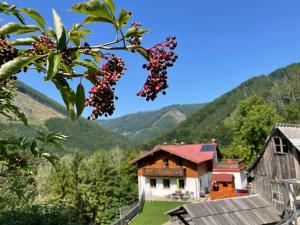 Büchlhof - App. Breitenstein
