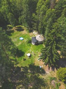 Jurty i namioty w Lesie KotfaLas Glamping Świętokrzyskie-SPA