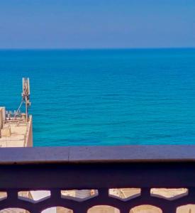 سى فيو السريا