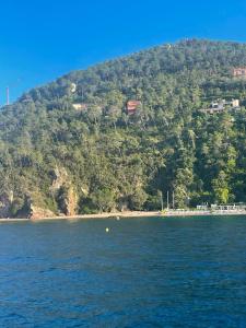 Villas The Beach House, Theoule sur mer, Cote dAzur, France : photos des chambres