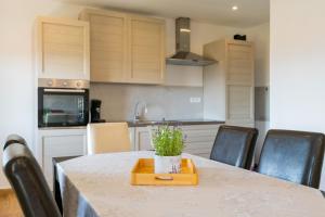 Luxury Apartment Budimir