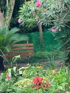 ＯＫＵＮＯ ＩＥ - Oshima