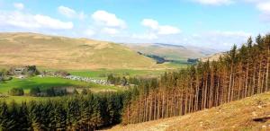 Honey Cottage Caravan Park
