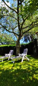 Villas Maison Carcari : photos des chambres