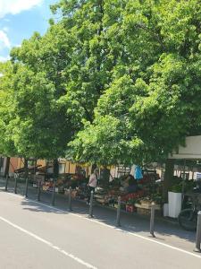 Apartma Old Town