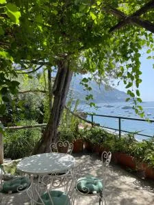 La Dolce Vita a Positano boutique hotel - 波西塔诺
