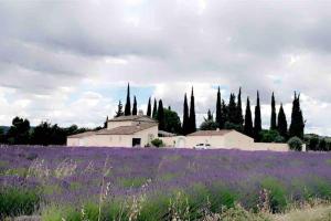 Maisons de vacances Maison 70m2 privatisee Provence avec piscine & jardin : photos des chambres