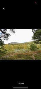 Bjorli Apartment with everything, 150m from ski lift