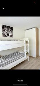 Bjorli Apartment with everything, 150m from ski lift