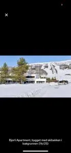 Bjorli Apartment with everything, 150m from ski lift - Ormheim