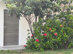 Beach Loft Poetto img1