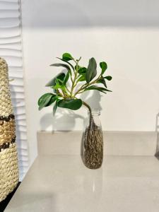 Scandinavian 1 BR beside SM CDO w POOL and Netflix