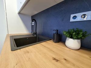 Apartmá v klidné lokalitě Krkonoš