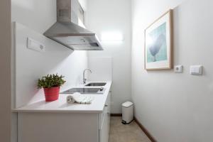 BmyGuest - Santa Catarina Downtown Apartment