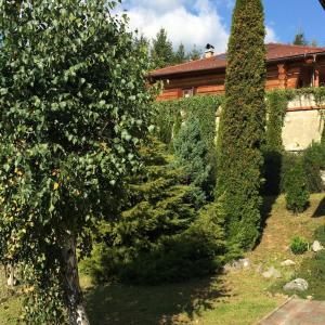 Ultimate relaxation near Slovak Paradise