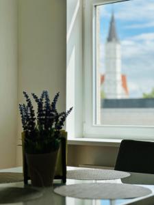 Butas pačiame Šiaulių miesto centre