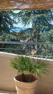 Apartments Lucija-Klara